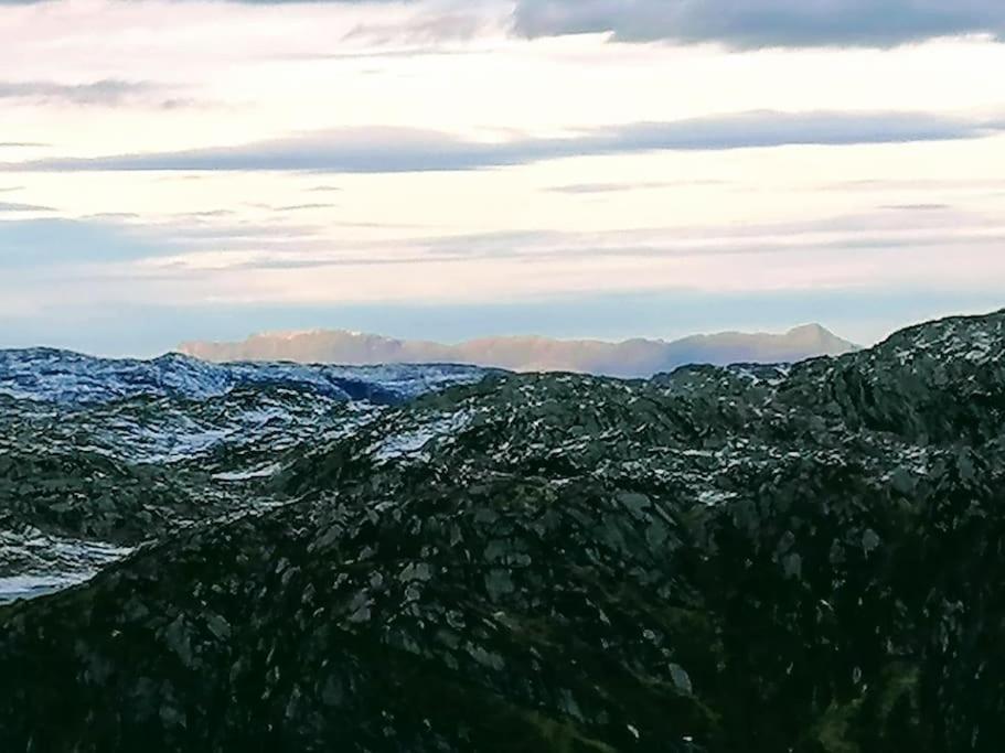 Апартаменты Sognevegen 2242 Haugsvaer Экстерьер фото