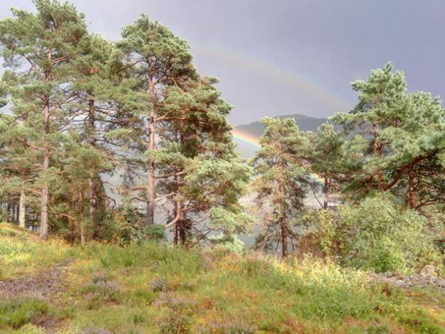 Апартаменты Sognevegen 2242 Haugsvaer Экстерьер фото
